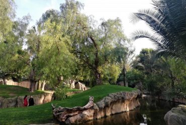 Биопарк Валенсии