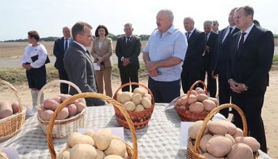 хардкор до слез и боли видео просматривайте горячие порно фильмы задаром