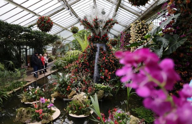 Экзотический лабиринт: в британских королевских садах начинается фестиваль орхидей (фоторепортаж)