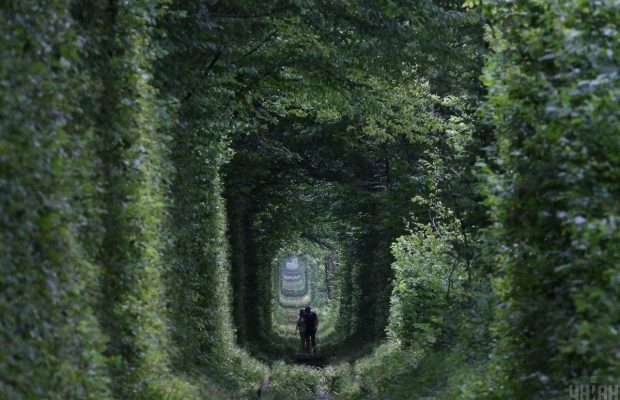 ТОП-10 малоизвестных наиболее романтических уголков планеты: украинский «Тоннель любви» возглавил рейтинг (фото)