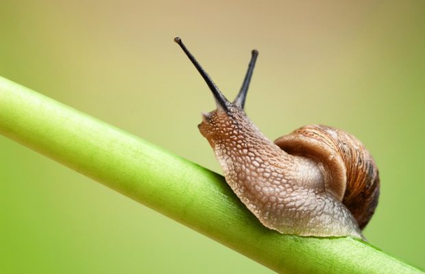 26 лютого 2020 - яке сьогодні свято, прикмети і іменинники, що сьогодні не можна робити