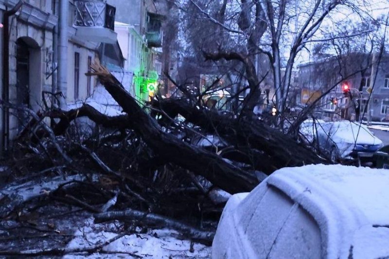 Общественный транспорт функционирует в обычном режиме / фото пресс-службы мэрии Одессы