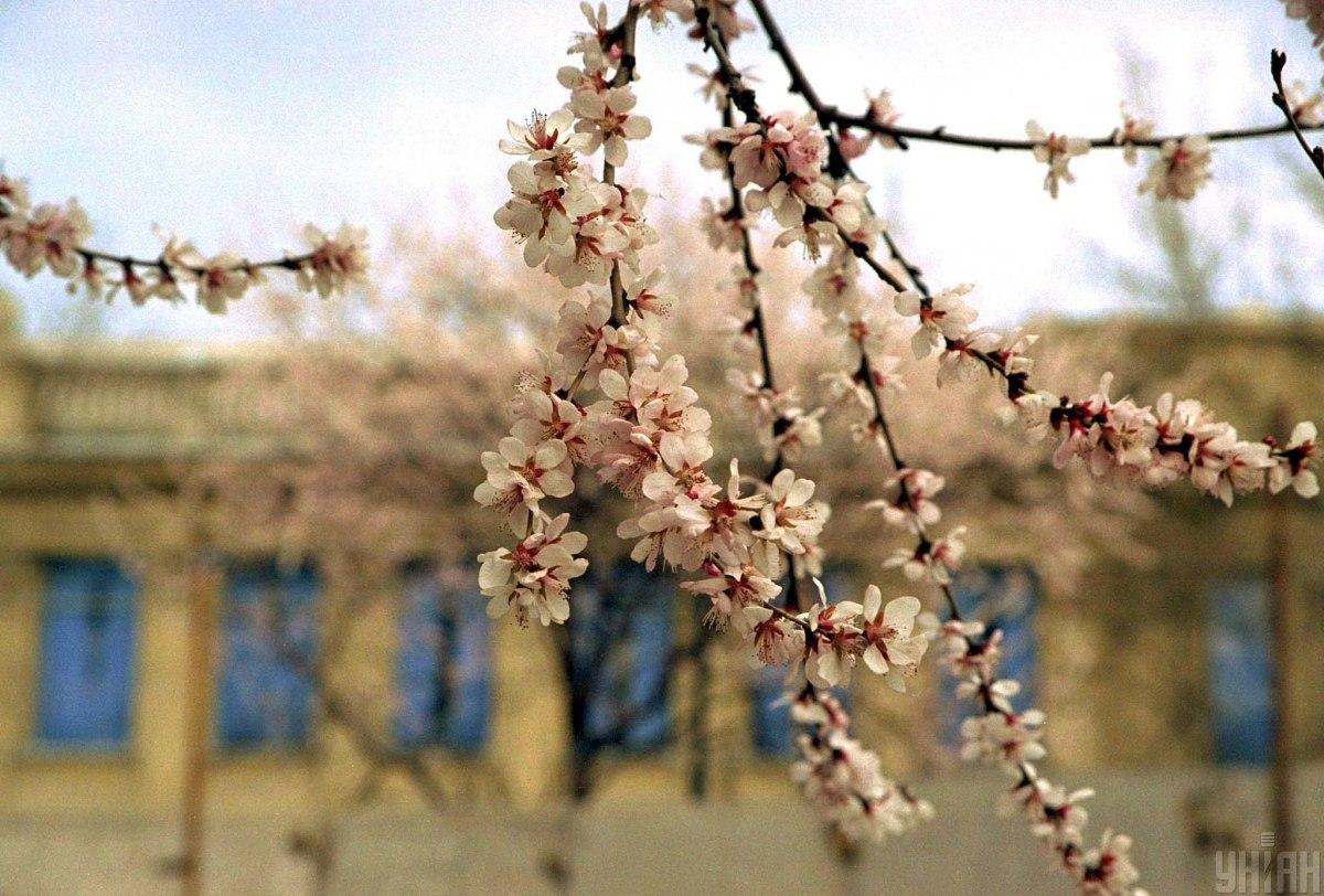 Фото с первым днем весны / фото УНИАН