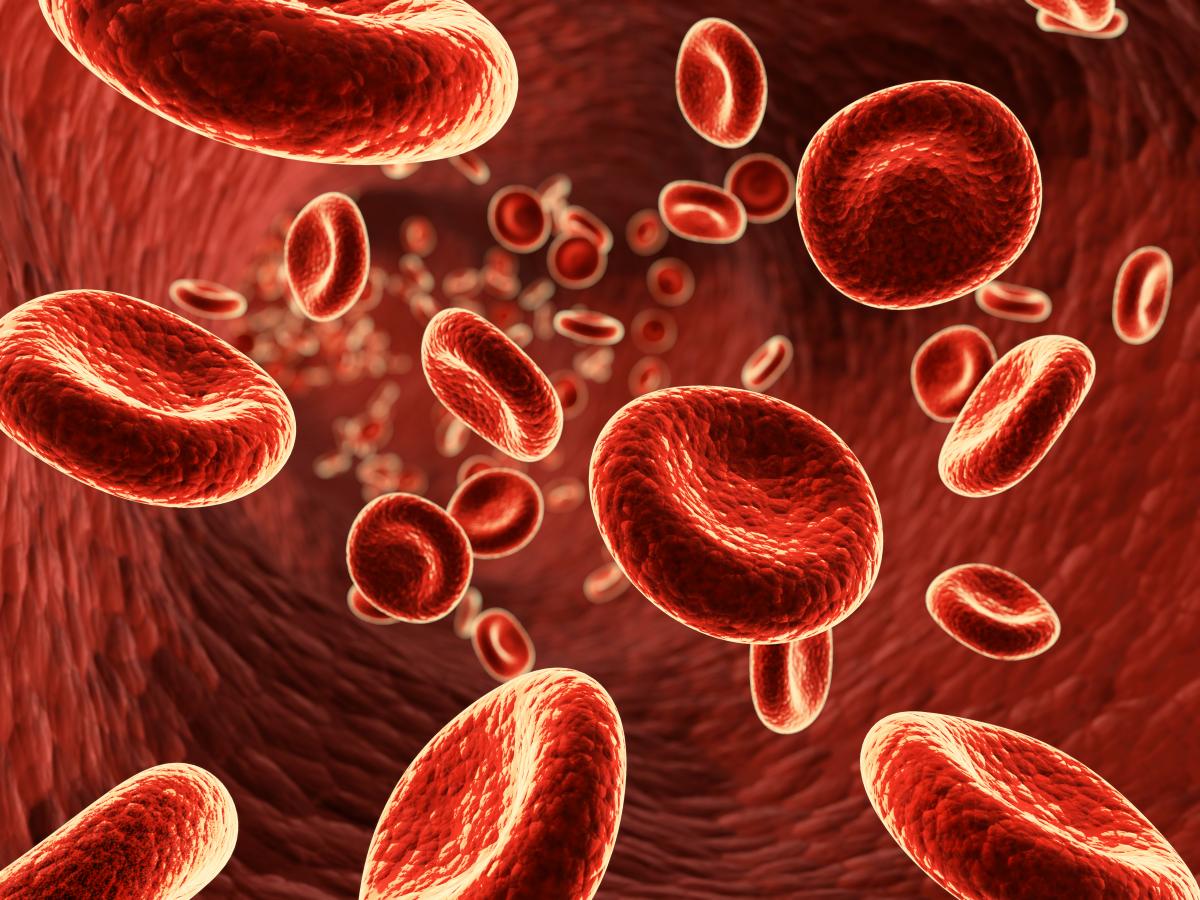 У мужчин в норме содержание гемоглобина в крови несколько выше, чем у женщин / depositphotos.com