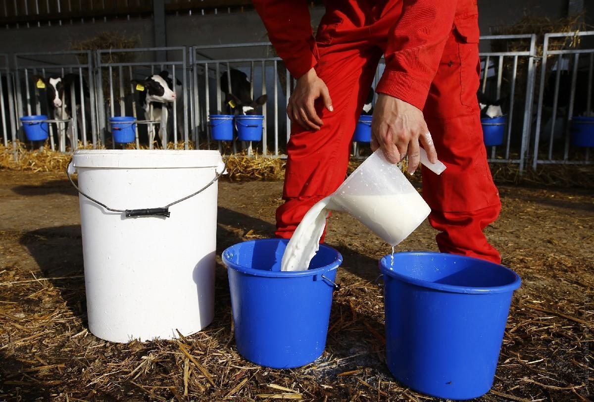 Молочні компанії мають намір ініціювати заборону на імпорт молока і молочних продуктів з Білорусі / Ілюстрація REUTERS