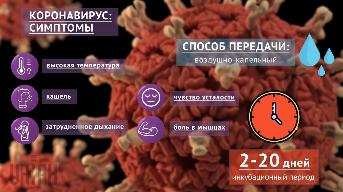 Какие симптомы и как передается коронавирус / инфографика УНИАН