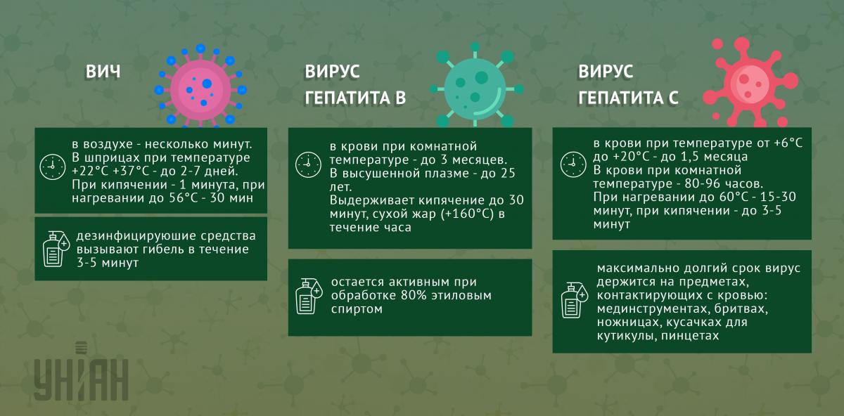 Сколько живут вирусы вне организма человека / инфографика УНИАН