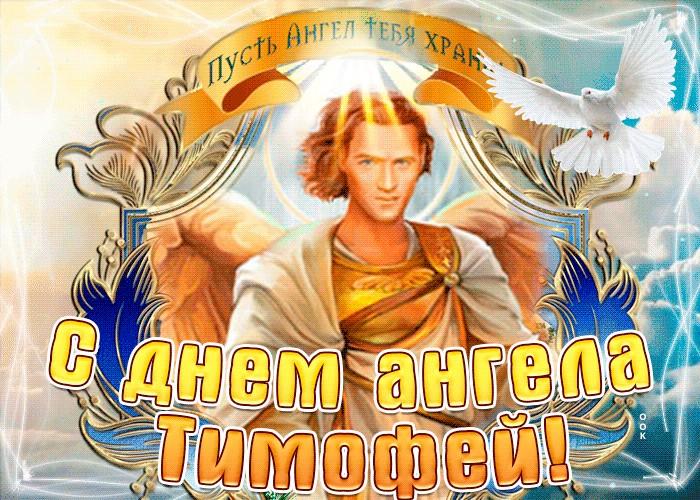 Поздравление с Днем Тимофея Поздравление с Днем Тимофея