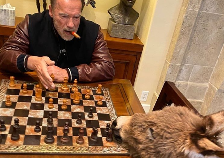 Арнольд играет в шахматы с Лулу / instagram.com/schwarzenegger Арнольд играет в шахматы с Лулу / instagram.com/schwarzenegger