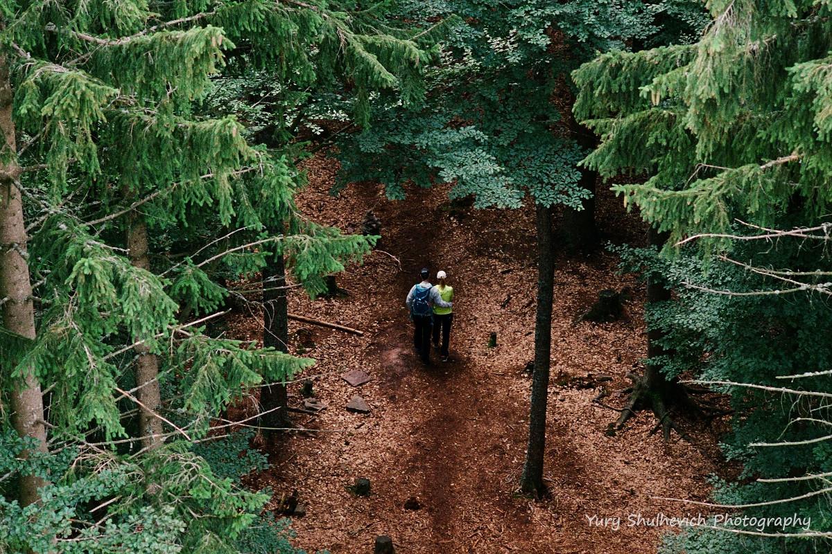 Прогулянка Чорним лісом / фото Yury Shulhevich