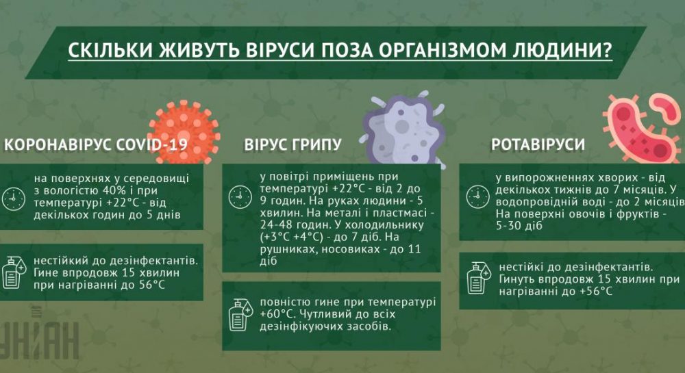 Как быстро гибнет сперматозоид