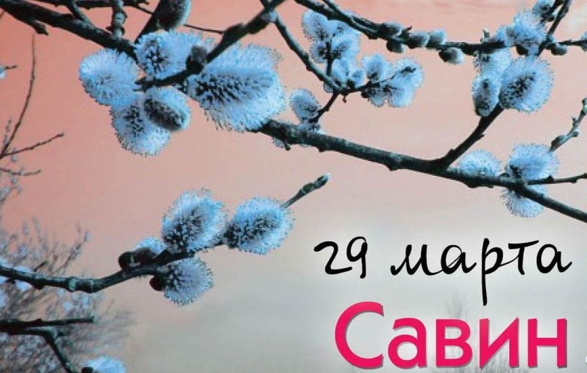 Картинки Саввин День