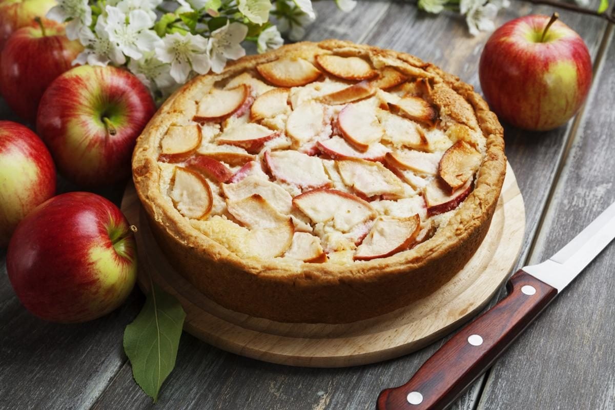 Шарлотка с яблоками в духовке, 5 простых и вкусных рецептов — читать на баштрен.рф