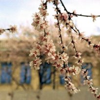 В Украину идет потепление до +22 градусов: появился прогноз погоды на следующую неделю