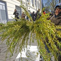 Вербное воскресенье 2020 - когда вербное воскресенье и что нельзя делать в этот день