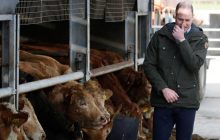 В любимых потертых сапогах: Кейт Миддлтон и принц Уильям прошлись по утесам Хоута (фоторепортаж)