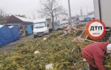 Кладовище 8-березневих мімоз: у Києві виявили величезне звалище квітів (фото)