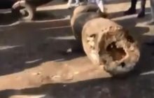 Загибель дитини під скульптурою в Запоріжжі: директора парку відсторонили від посади (відео)