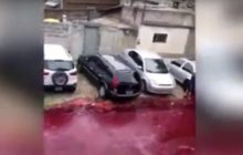 В Аргентине тоннами крови затопило улицу (видео)