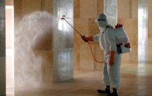 Number of deaths from novel coronavirus rises to 5,429