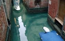 Відсутність туристів перетворила воду у каналах Венеції на кришталево чисту