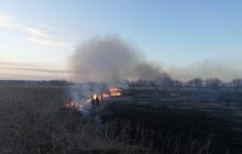 Под Днепром женщина решила убрать кладбище и сожгла 2 гектара земли (видео)