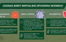 Сколько живут вне организма человека коронавирус и другие болезни (инфографика)