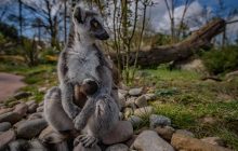 29 октября 2021 - какой сегодня праздник, приметы и именинники, что сегодня нельзя делать