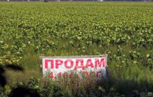 Рада приняла закон о введении рынка земли с июля 2021 года