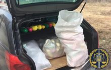 В Харьковской области в автомобиле нашли каннабис на 22 миллиона гривень