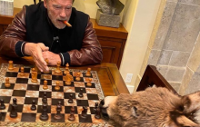 Арнольд Шварценеггер на карантине учит играть в шахматы свою ослицу Лулу (фото, видео)