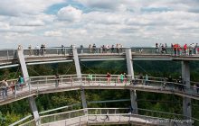 Между небом и землей: прогулка по верхушкам деревьев посреди Черного леса в немецком Бад-Вильдбаде