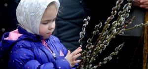 С Вербным воскресеньем 2026: открытки и пожелания, что тронут каждого