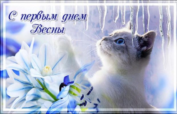 Перший день весни 2020 – найкращі привітання і картинки