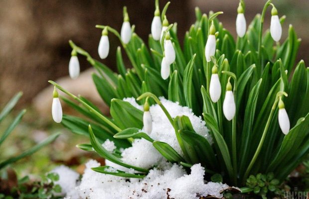 19 квітня 2020 - яке сьогодні свято, прикмети і іменинники, що сьогодні не можна робити