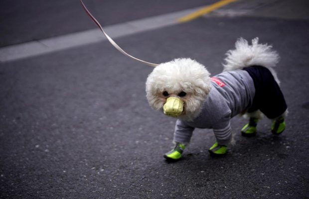 2 липня 2020 - яке сьогодні свято, прикмети і іменинники, що сьогодні не можна робити