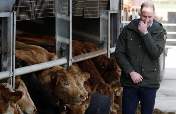 В улюблених подертих чоботях: Кейт Міддлтон і принц Вільям пройшлися по кручах Хоута (фоторепортаж)