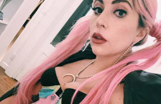 Яскраве забарвлення і дивні опуклості: на честь Леді Гаги назвали нову комаху (фото)