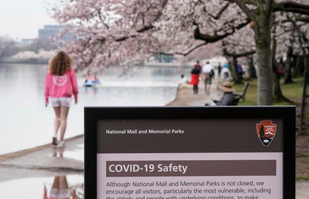 Как цветение сакуры лишило людей по всему миру инстинкта самосохранения во время пандемии коронавируса (фоторепортаж)