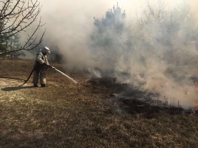 На Житомирщині упіймали паліїв трави / фото ДСНС На Житомирщині упіймали паліїв трави / фото ДСНС