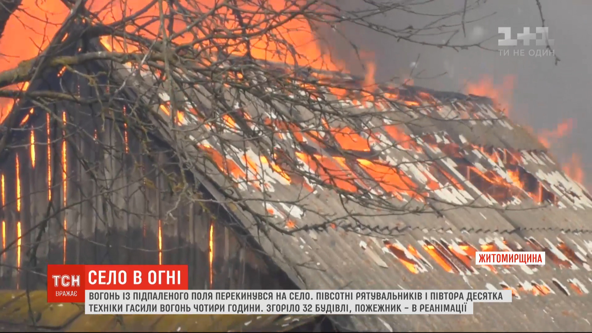 На Житомирщине огонь с подожженного поля уничтожил 32 здания (видео) На Житомирщине огонь с подожженного поля уничтожил 32 здания (видео)