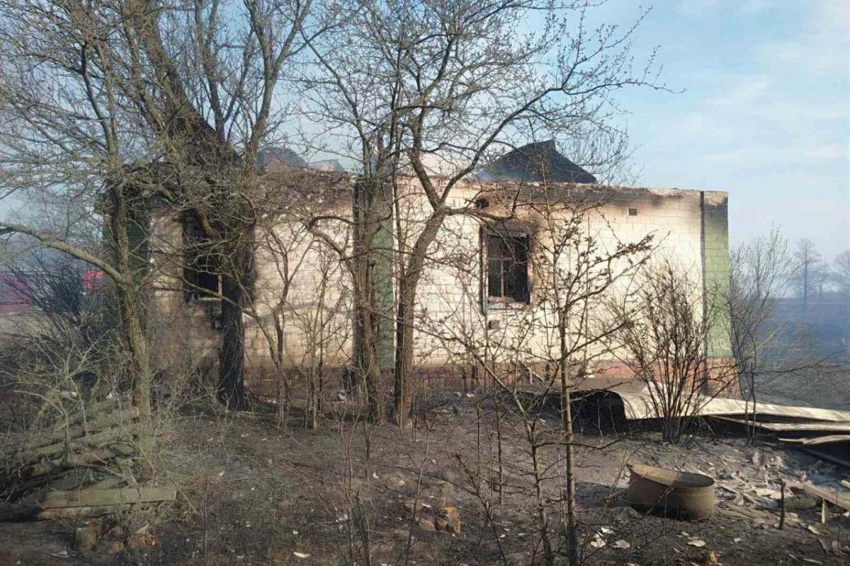 За даними очевидців, пожежа розпочалася через підпали з кількох боків / фото УДСНС в Чернігівській області За даними очевидців, пожежа розпочалася через підпали з кількох боків / фото УДСНС в Чернігівській області