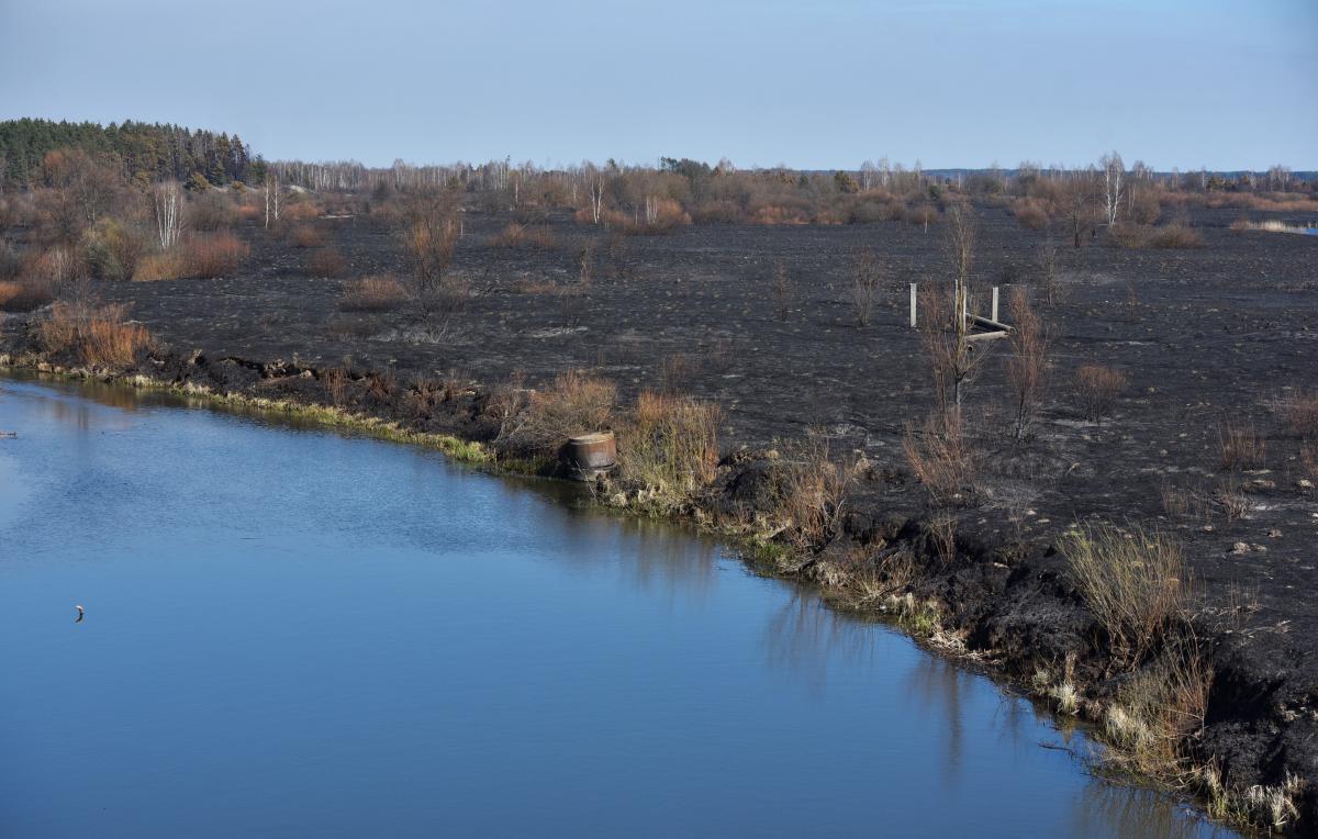 У зоні відчуження в районі ЧАЕС почалися масові пожежы / фото REUTERS У зоні відчуження в районі ЧАЕС почалися масові пожежы / фото REUTERS