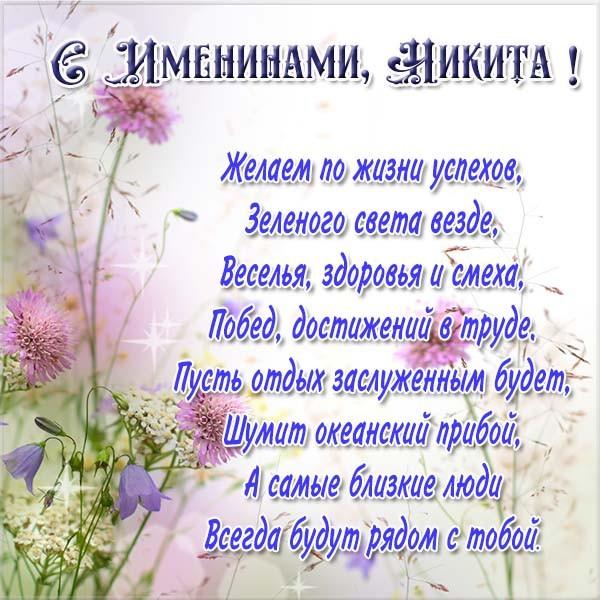 С днем Никиты поздравление С днем Никиты поздравление