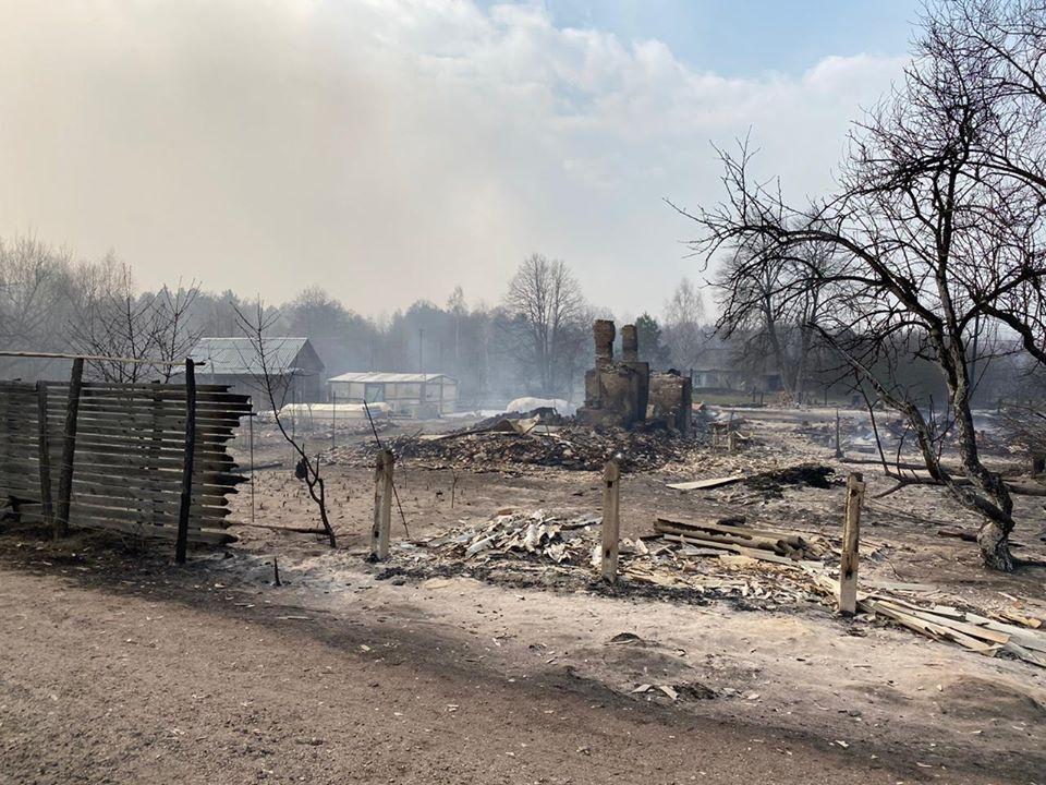 На Житомирщині палають ліси / фото Facebook Віталія Бунечка На Житомирщині палають ліси / фото Facebook Віталія Бунечка