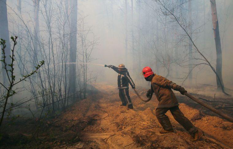 Фото пожаров со спутника