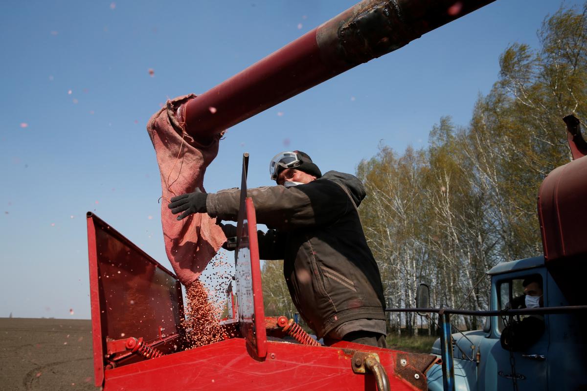 Якщо у 2021 році посівна площа склала близько 29 млн га, то прогноз на поточний рік-близько 22 млн га / Ілюстрація REUTERS Якщо у 2021 році посівна площа склала близько 29 млн га, то прогноз на поточний рік-близько 22 млн га / Ілюстрація REUTERS