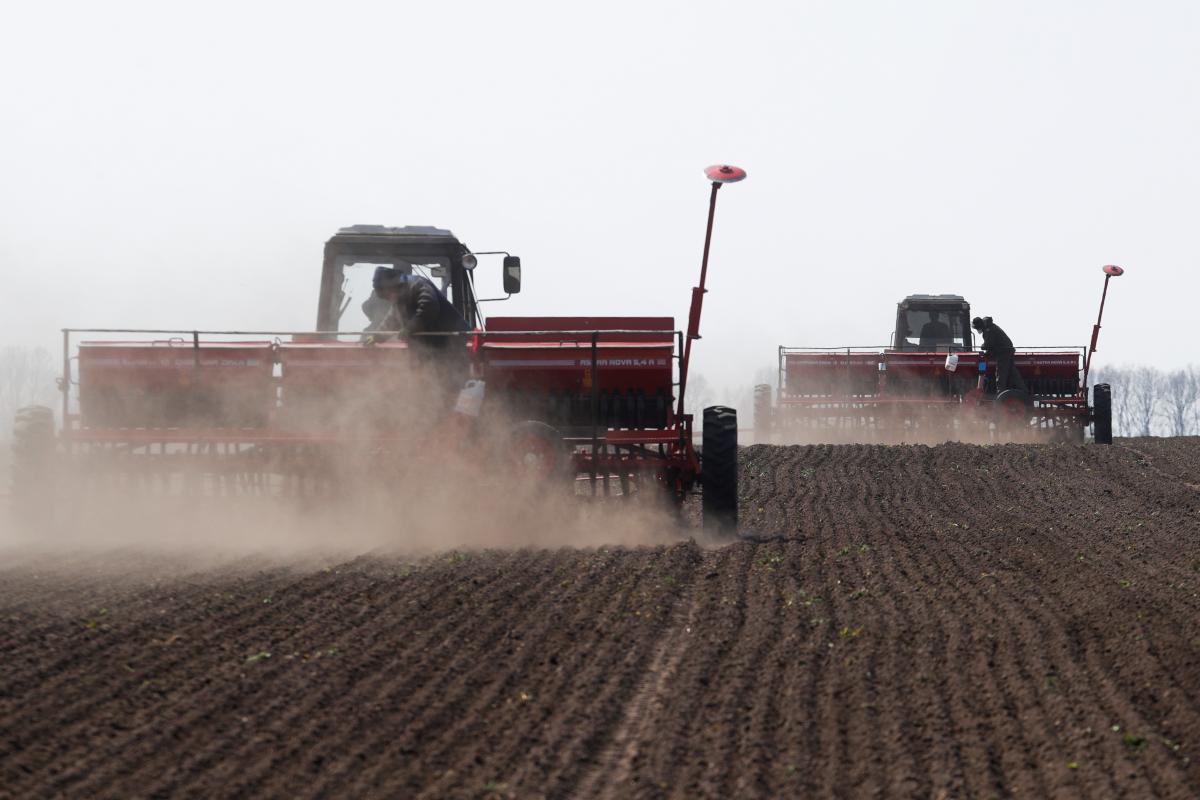 "Аграрии Винницкой области, Волынской, Киевской и Черниговской завершили сев озимых зерновых культур / Иллюстрация REUTERS
