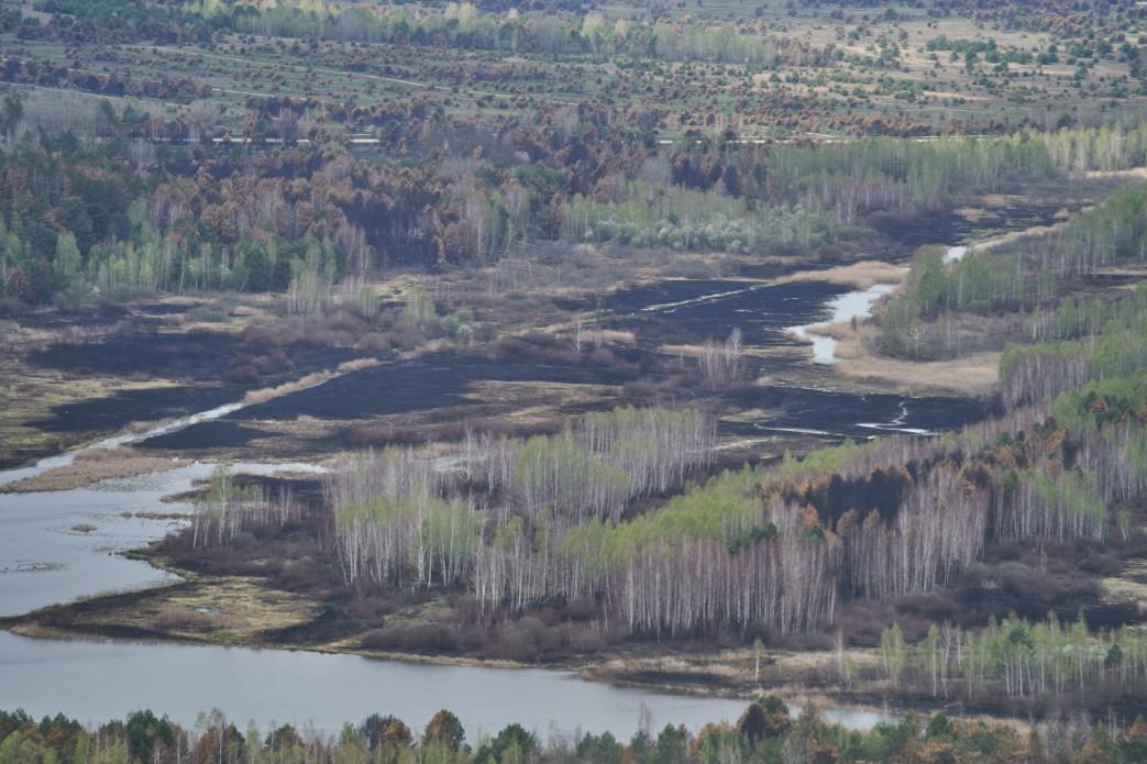 Chornobyl forests have massively been damaged by fires / Photo from president.gov.ua