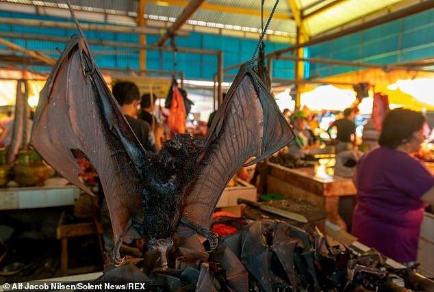 Фото: Daily Mail Фото: Daily Mail
